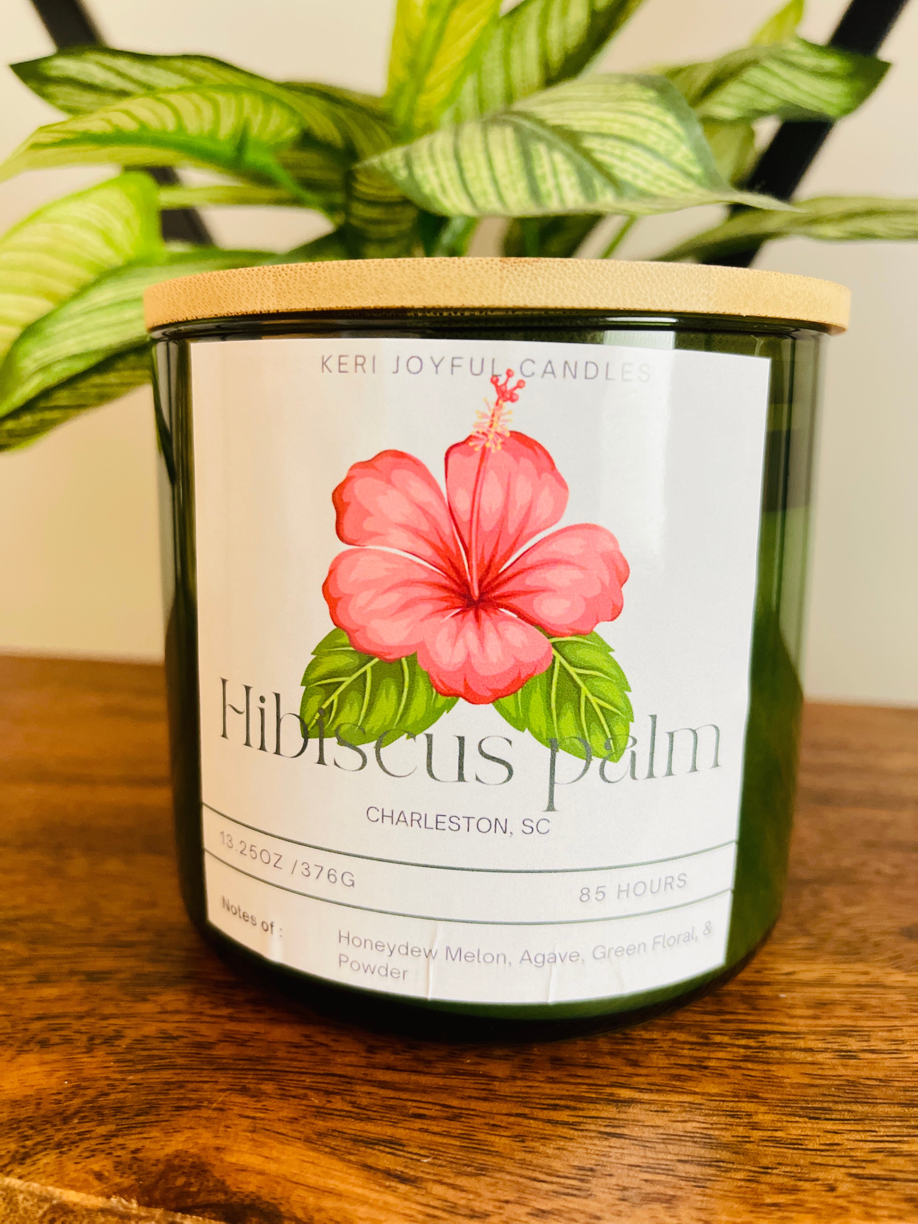 Hibiscus Palm